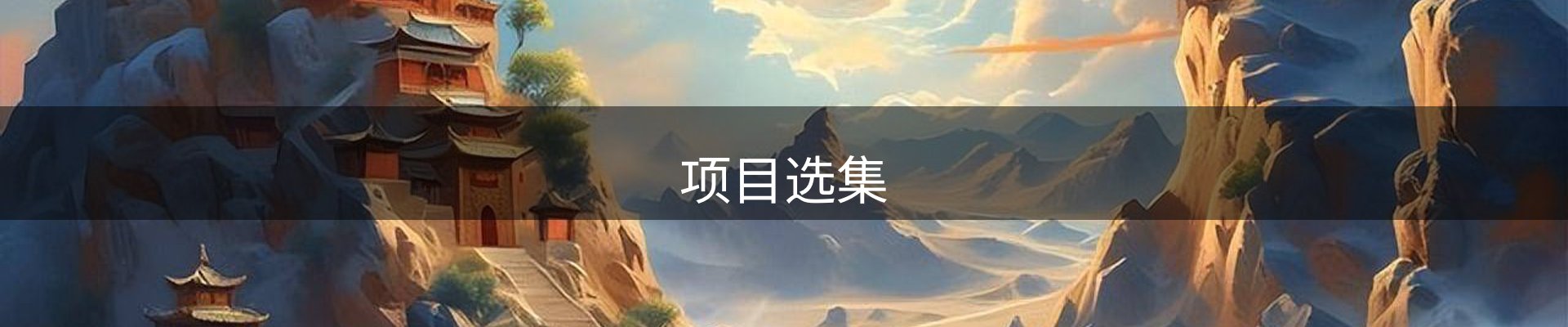 项目选集