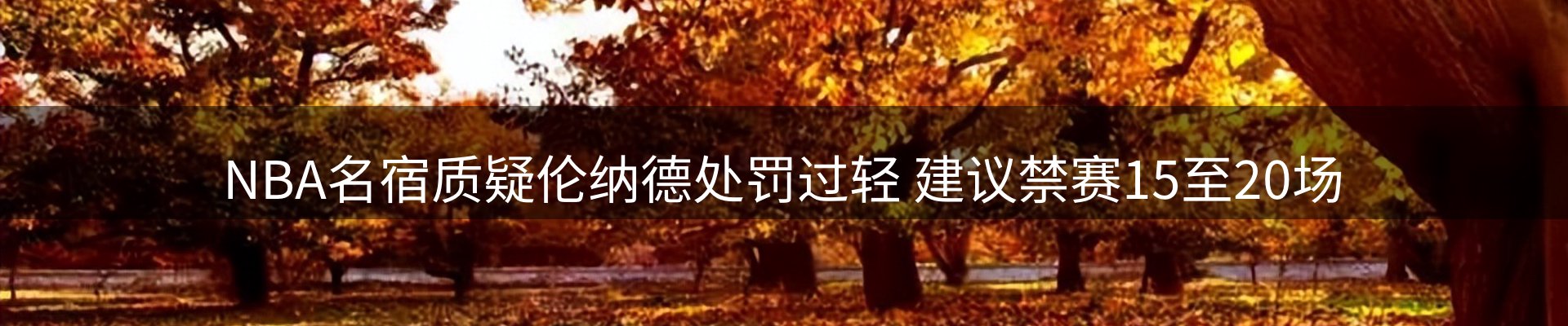 网站动态